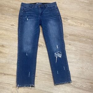 Democracy Distressed Ankle Jeans size 4